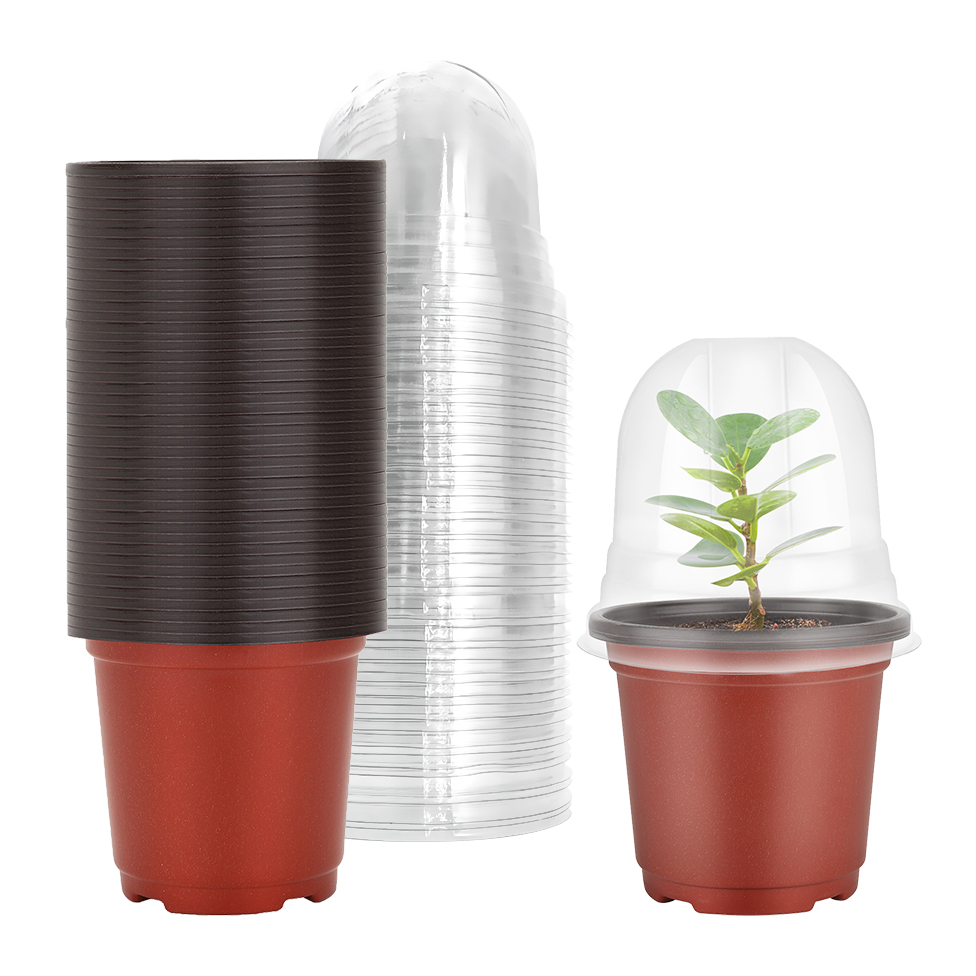 Plastic Dome Clear - Vasos de berçário de plantas com