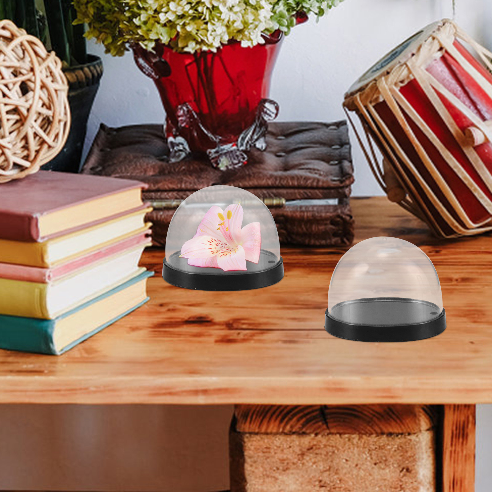 5 Conjuntos de Cúpulas de Plás - Plastic Dome Clear avaliação e preço